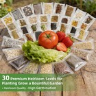    seed Vault    Heirloom Vegetable Seeds Planting Kit - Medium  Primary Color