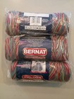 Bernat Super Value Yarn  Techno Ombre  New  Estate Lot  Set Of 5