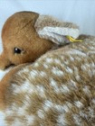 Vintage Steiff Lorli Rehkitz Sleeping Fawn Deer Plush 12    Button In Ear Germany