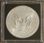 2017 Silver Eagle 1oz  999 Silver Unc Mint State  Free Shipping