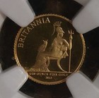 2013 Great Britain Proof Gold 1 Pound 1 20 Oz 1st Year Coin Ngc Pf70 2893 Minted