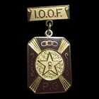 Vtg Past Grand Noble Medal Pin International Order Of Odd Fellows Lodge I o o f 