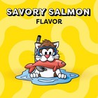 Classic Crunchy And Soft Cat Treats Savory Salmon Flavor  48 Oz  Bag