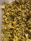 Recast Lot Of 200 Tan Vintage Louis Marx Army Japan Sands Of Iwo Jima Read Desc