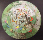 Vtg 1972 Springbok Circular Puzzle Familiar Birds By Wm Dilger Pzl6039 Complete 