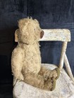 Antique Golden Mohiar Fully Jointed Teddy Bear 18  Glass Eyes Straw Filled Plush