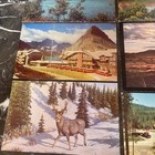 11 Vintage Montana Postcards 1920s Glacier National Park