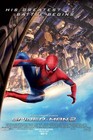 2014 The Amazing Spiderman 2 Movie Poster 11x17 Peter Parker Garfield Marvel        