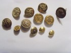 12 Antique Assorted Metal Heraldic Military Collector Buttons Lot Fc1033
