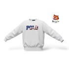 Polo Ralph Lauren Stars And Stripes Americana Pullover Sweatshirt Mens Size Xxl
