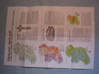 Ireland And Northern Ireland Map  Historic Ireland National Geographic Apr  1981