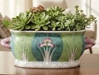 Chinese Famille Rose Bok Choy Porcelain Hand Painted Foothbath Planter -19 l