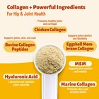 5x Collagen Powder For Dogs   Cats  Hip   Joint Supplement With Msm  Hyaluron   