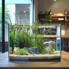 3 Gallon Glass Fish Tank Easy To Maintain Small Aquarium For Betta goldfish snai