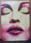 Madonna The Mdna Official World Concert Tour Program Photo Art Book    2012