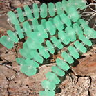 Ruffle Coin Beads 14mm  Autumn Green W frosted  Matte Finish  10 Pcs