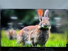 Sony Bravia X90l Series 85  4k Ultra Hd Full Array Led Smart Google Tv Xr85x90l