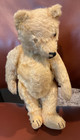 Vintage Antique Steiff Teddy Bear Golden Mohair  No Button  Tlc  Jointed  Hump