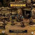 New Steamforged Games Warmachine Cygnar Gravediggers Command Starter