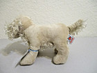 Webkinz American Golden -hm371 Retired  New  Sealed  Unused Code  Adorable  