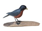 Life Size American Robin Bird On Wood Glass Eyes Hand Painted Wood Carving 1970s