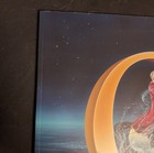 Cirque Du Soleil  O Souvenir Program Booklet 