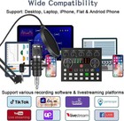 Complete Home Studio Recording Kit Mixer Condenser Microphone For Music Podcast