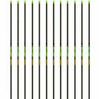 Gold Tip Hunter Xt Shafts