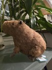 Jellycat London Clyde Capybara Soft Plush Toy Stuffed Rodent Rare Free Shipping