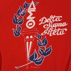 Delta Sigma Theta Black Sorority 80s Vintage Raglan Sweatshirt M