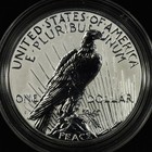 2023-s Silver Peace Dollar     Reverse Proof Coin     Capsule Only 999    trusted   