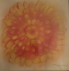 Framed Floral Wall Art Print Orange Flower   Petals Burst White Frame 11 5x11 5