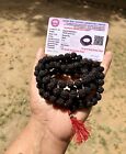 Lab Certified 5 Mukhi Rudraksha Black Rudraksh Mala Rosary 108 1 Prayer Beads