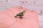 Lovely Antique Austrian Vienna Cold Painted Bronze Figure Of Small Green Bird