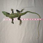 Vintage Aaa Iguana Realistic Reptile Lizard Iguana Toy Plastic Rubber 12 Inches