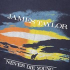 Vintage 80s James Taylor Band Tee T-shirt Large Rock Band Tour Never Die Young