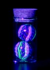 Bryan Trillas Glass Marbles set Of 2 Uv Peewee Filigree Marbles  016  0 7inch