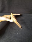 Schleich Dinosaur Figure Quetzalcoatlus