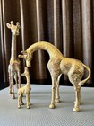 Vintage Set Of 3 Solid Brass Giraffe Statues   Mom Dad Baby Family 5    Taiwan