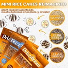 Drizzilicious Mini Rice Cakes Variety Pack  6 Flavors  6 Count