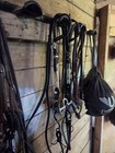 Kathy s Show Equipment Western Pleasure Show Bridle Set