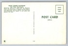 Pa  New Hope  Bucks County Playhouse  Vintage Postcard