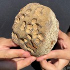 650g Natural Warring States  Agate Rough Geode Quartz Crystal Specimen
