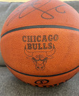 Derrick Rose-signed Spalding Chicago Bulls Basketball W authentication 