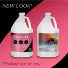 Froggy s Fog - Ds-ve - Velocity - Fast Dissipating Fog Machine Fluid