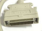 New 32  50 Pin Scsi Ii Male To 50 Pin Male Centronics Cable - Usa Stock Rm1cb10