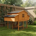Outdoor Chicken Coop House With Two Nesting Boxes Large Wooden Poultry Hutch