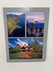 Vintage 1988 Colorful New Zealand Vacation Tourist Travel Color Photo Book