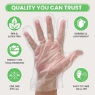 Disposable Vinyl Gloves  Food Safe  Latex-free Powder-free Clear Plastic Gloves