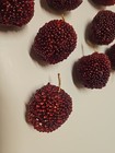 Beaded Deco Artificial Faux Fruit 10 Red Apples 1 5 